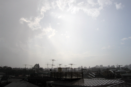 20050515.jpg