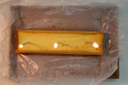 20050526_4.jpg