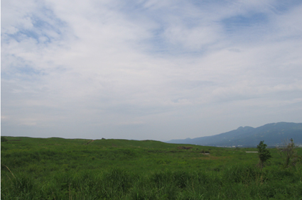 20050529.jpg