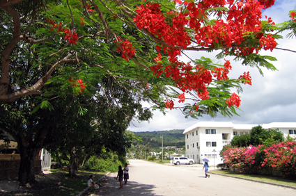 20050612.jpg