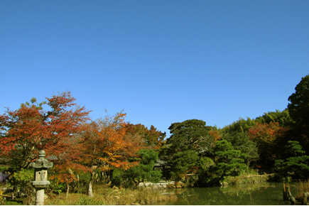 20051121.jpg